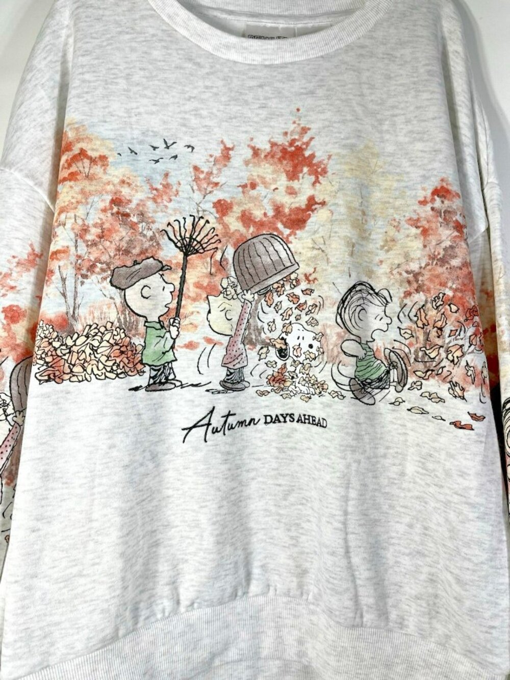 Peanuts Gang Snoopy And Friends Womens Large Autumn Days Ahead Sweatshirt - Picture 12 of 16